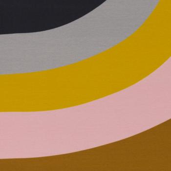 Preview: Baumwoll Jersey Magnificent Rainbow by Käselotti von Swafing